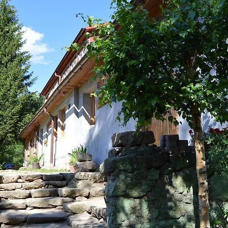 Pokoje Gościnne Arnika Górska Szklarska Poręba Exterior foto