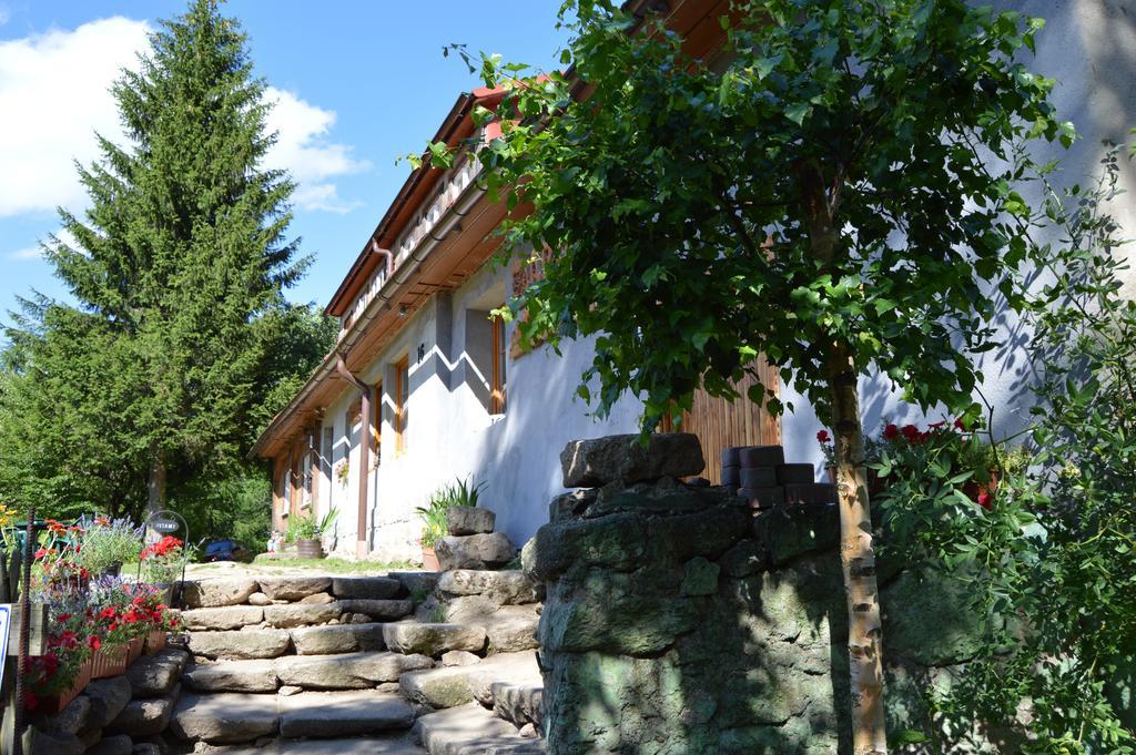 Pokoje Gościnne Arnika Górska Szklarska Poręba Exterior foto